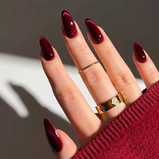 Premium Glänzende Stiletto-Nagelverzierungen Karnz