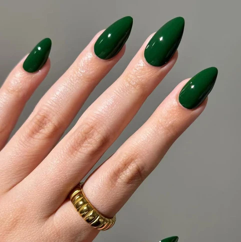 Premium Glänzende Nagelverlängerungen Karnz
