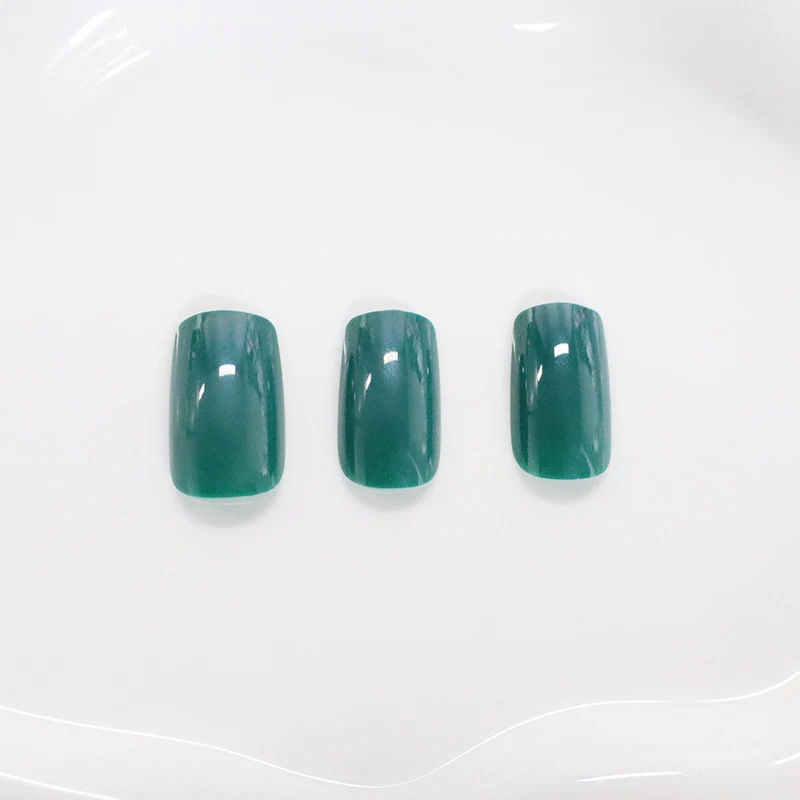 Glänzende quadratische Spitzen-Nagelkunst Karnz