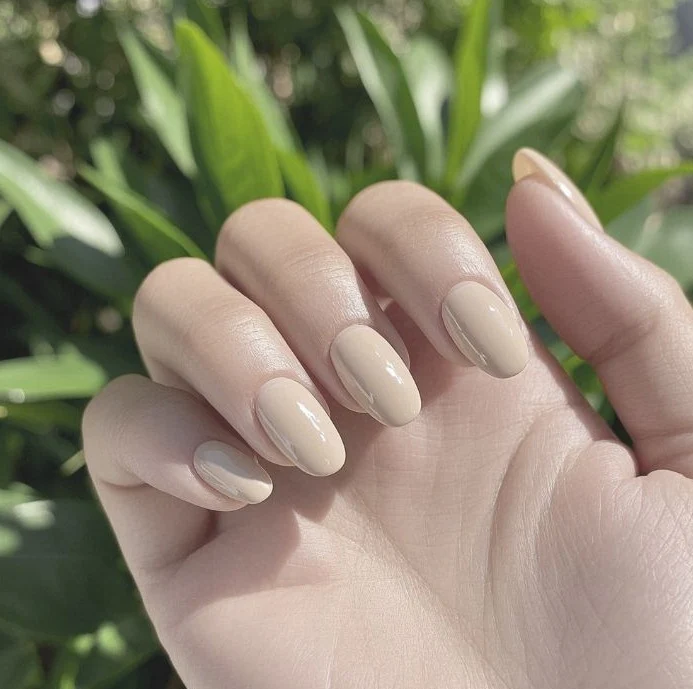 Glänzende ovalförmige Nagelverlängerungen Karnz