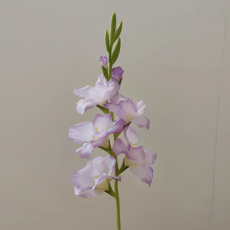Orchideenblütenstiel
