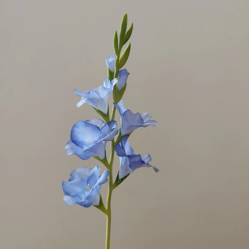 Orchideenblütenstiel