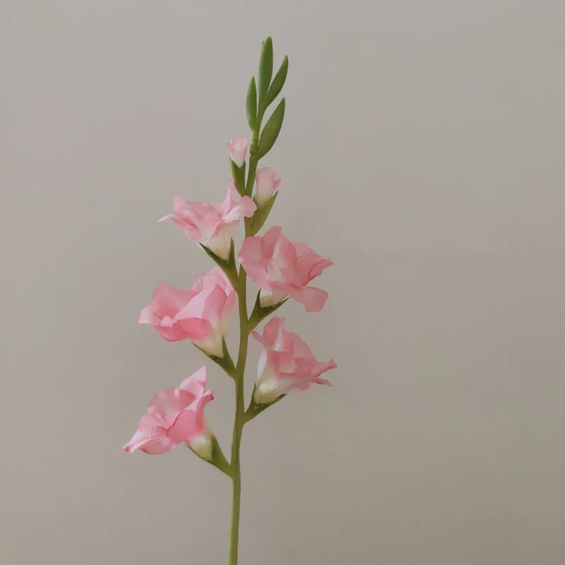 Orchideenblütenstiel