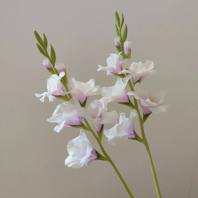 Orchideenblütenstiel