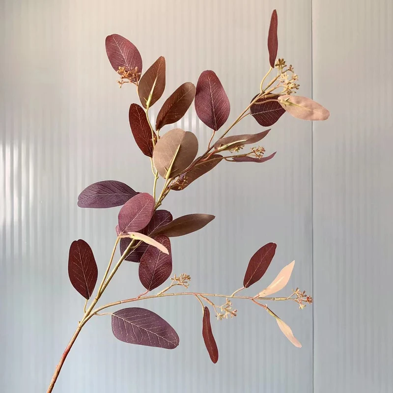 Natürlicher Eukalyptus-Stiel