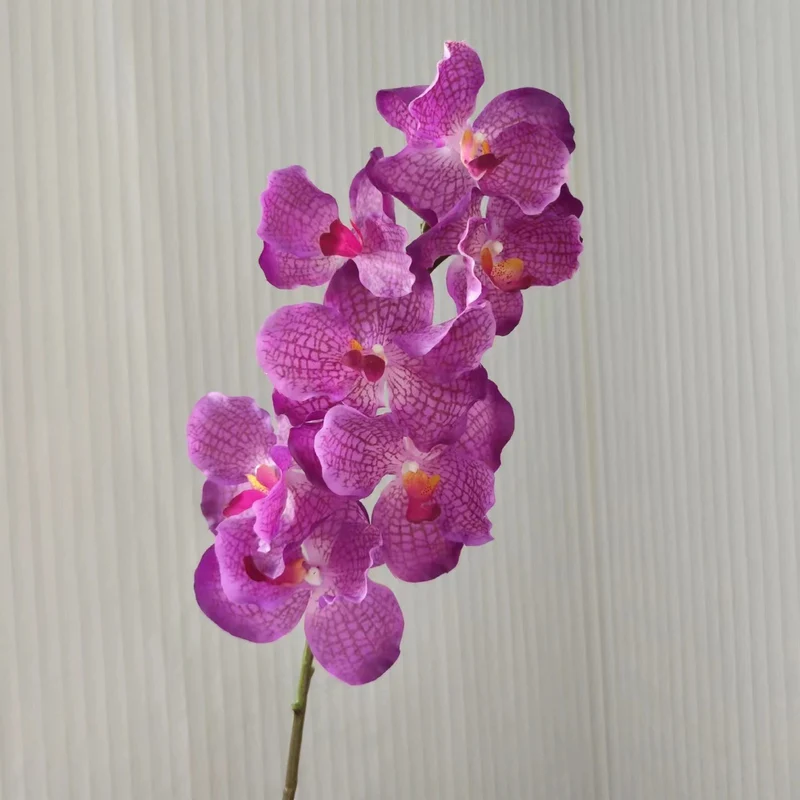 Realistische Orchideenstängel