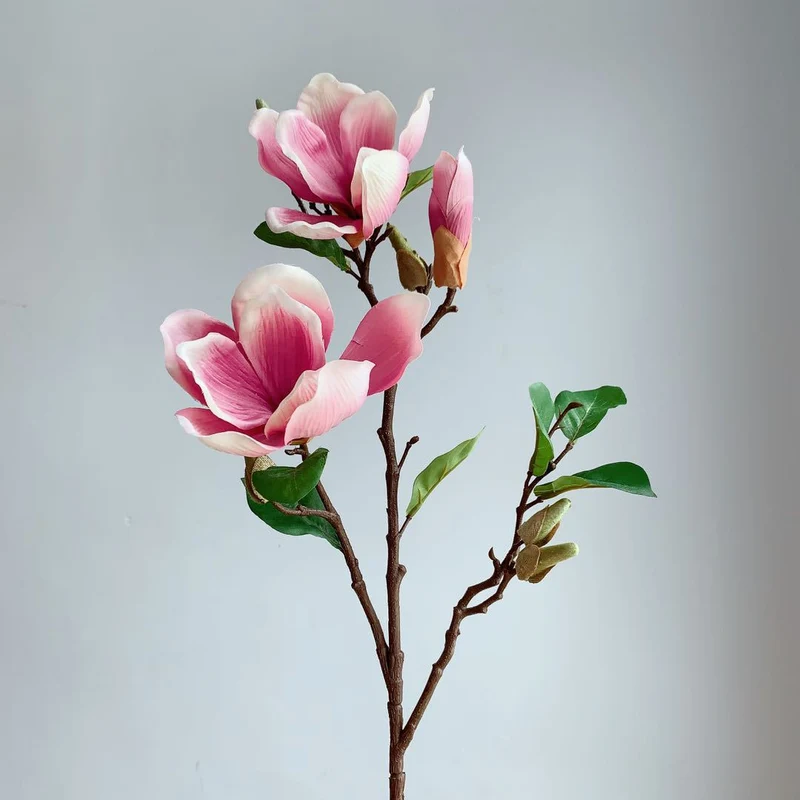 Realistische Magnolienblüte Stamm