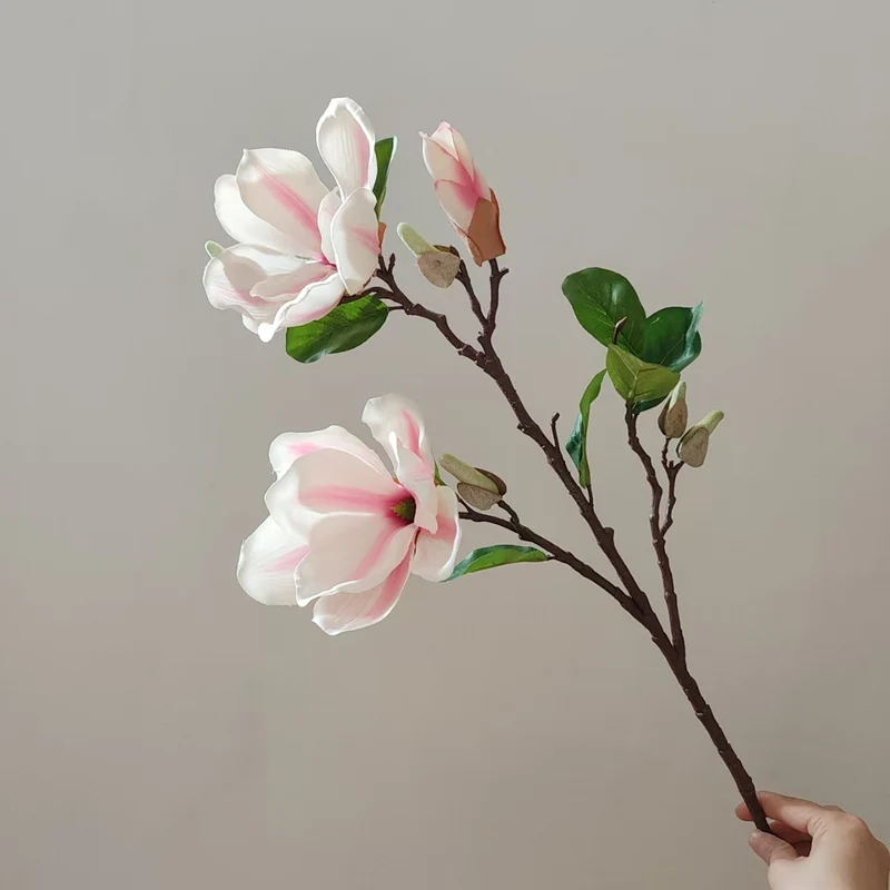 Realistische Magnolienblüte Stamm