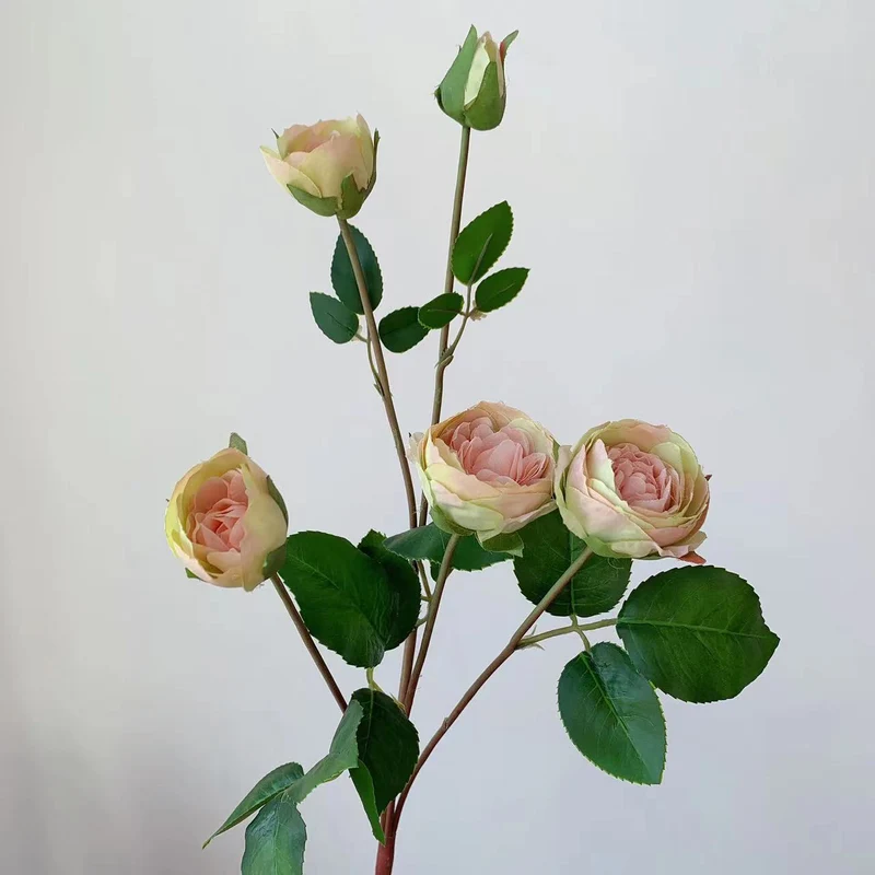 Realistische Gartenrose Stiel