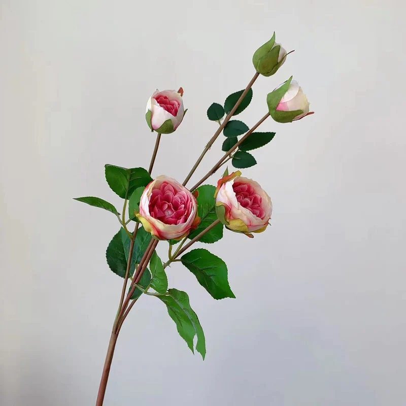 Realistische Gartenrose Stiel