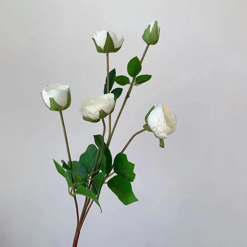 Realistische Gartenrose Stiel
