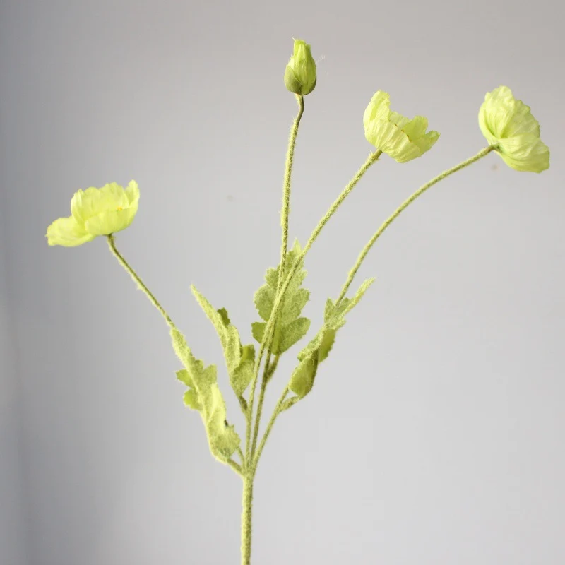 Lebensechte Mohnblumenstiel