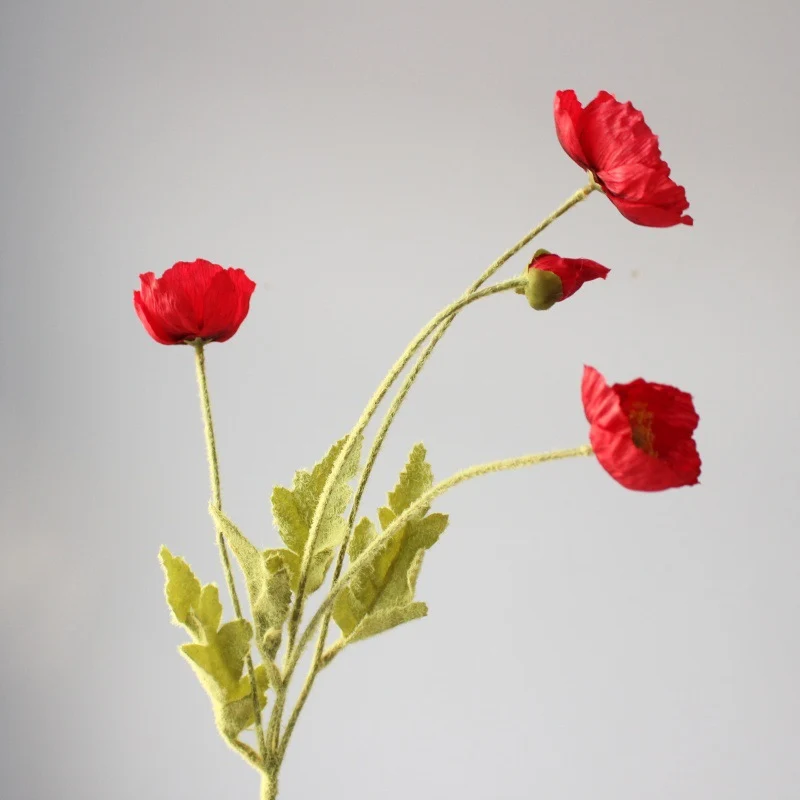 Lebensechte Mohnblumenstiel
