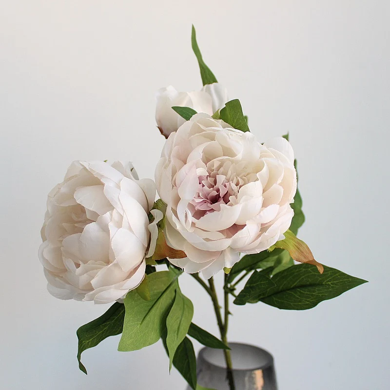 Lebensechte Pfingstrose Blumensamen