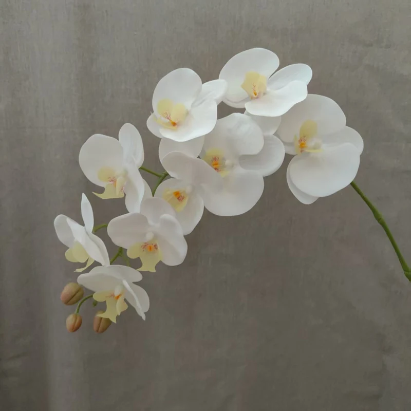 Lebensnahe Orchideenblüten-Ranke