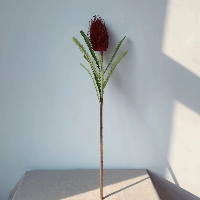 Lebensechte einheimische australische Blumenstängel