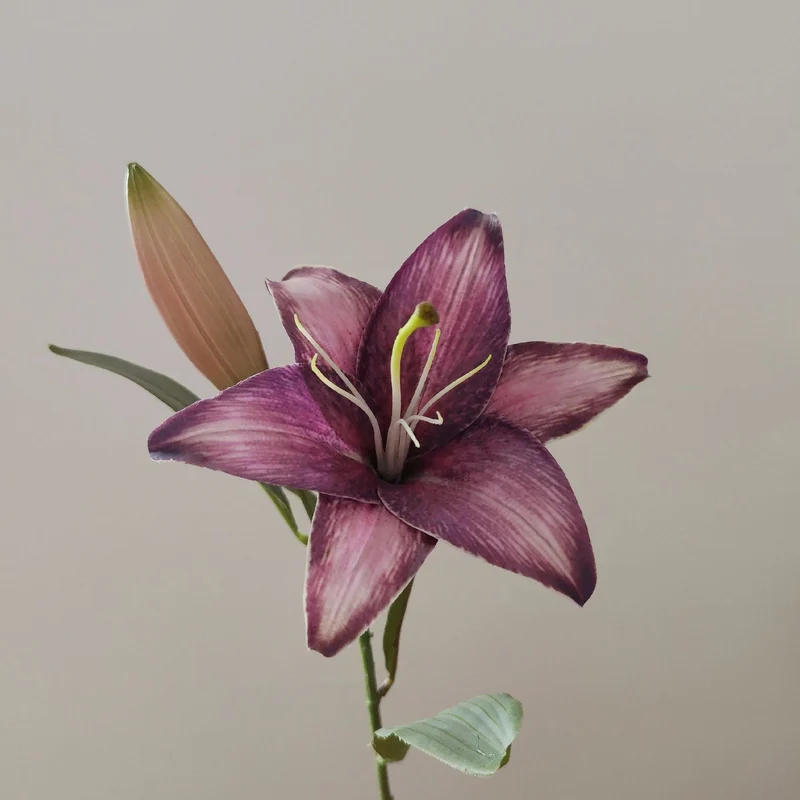 Lebensechte Lilienstiel