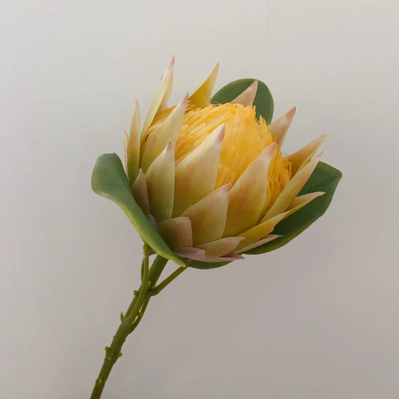 Lebensnahe Dekorative Protea Blumenstängel