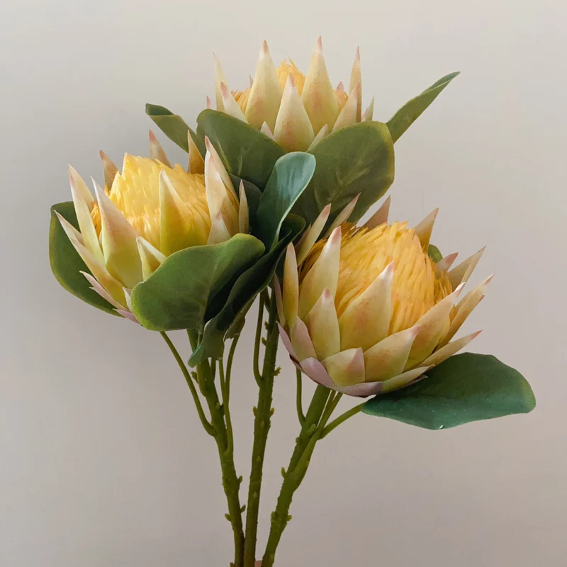 Lebensnahe Dekorative Protea Blumenstängel