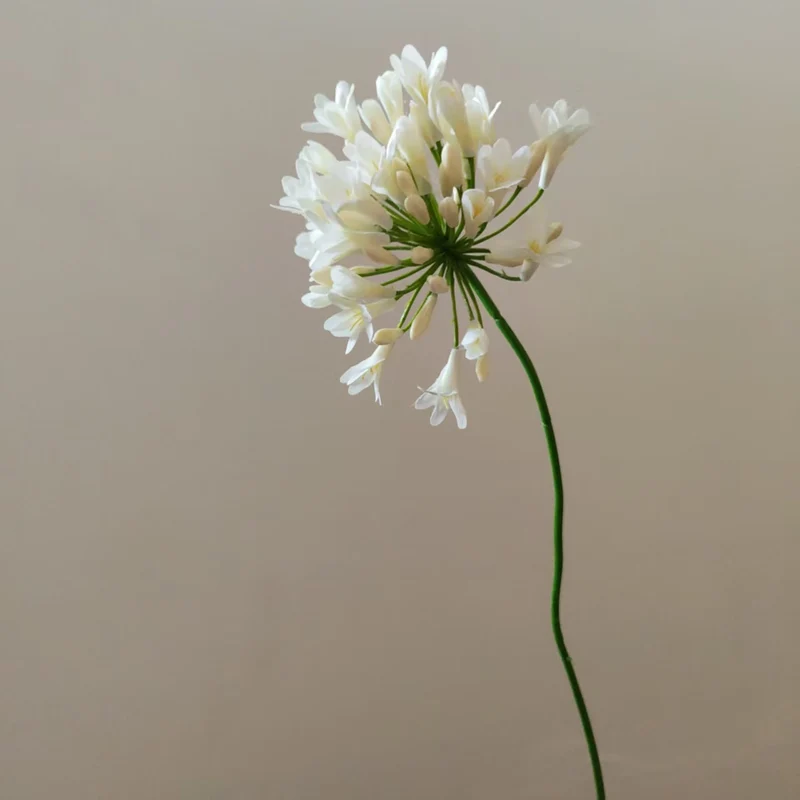 Lebensnahe Botanische Blumenstiel