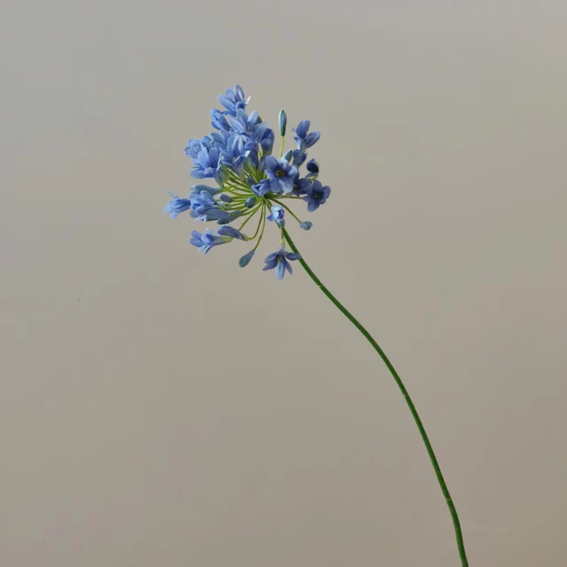 Lebensnahe Botanische Blumenstiel