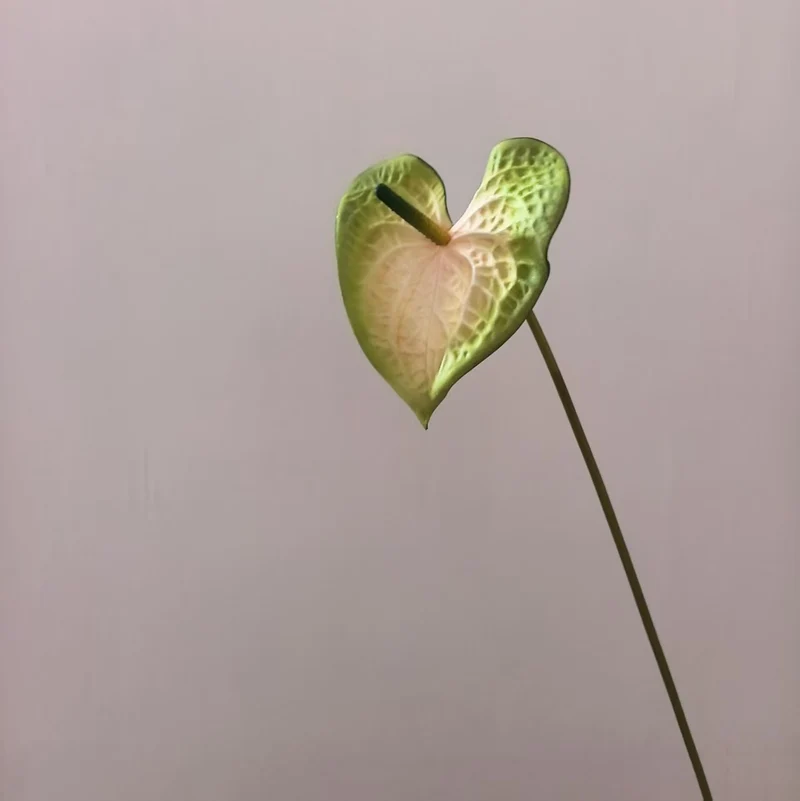 Herzförmiges Blatt Blumenständer