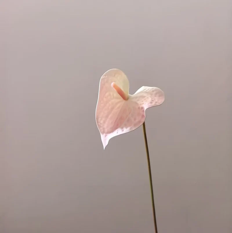 Herzförmiges Blatt Blumenständer