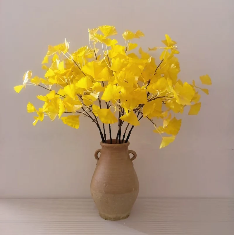 Ginkgo Biloba Dekorativer Stamm