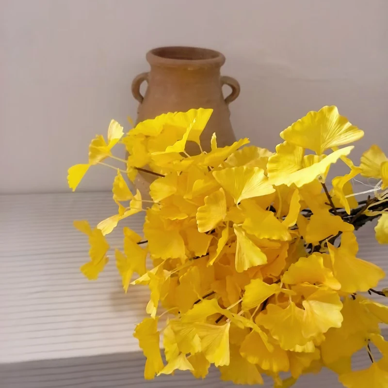Ginkgo Biloba Dekorativer Stamm