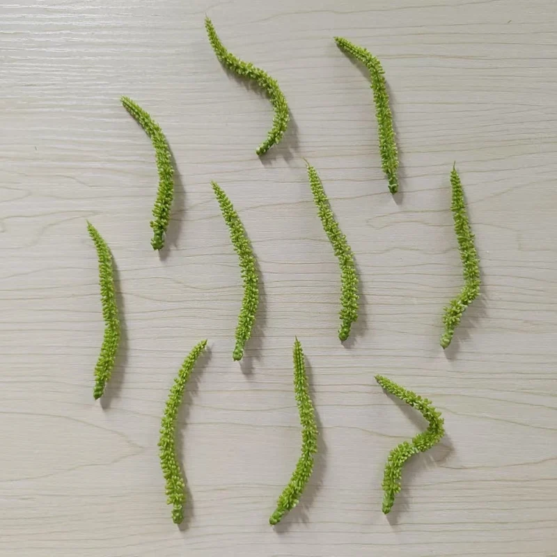Gartenwerkzeug