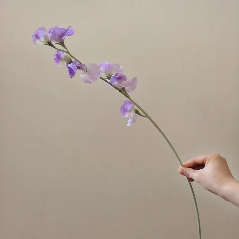 Elegante Seide Sweet Pea Stiel