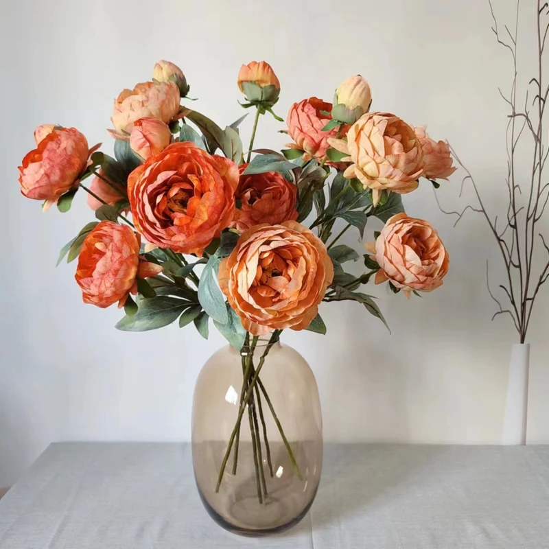 Elegante Pfingstrose Blumenstiel