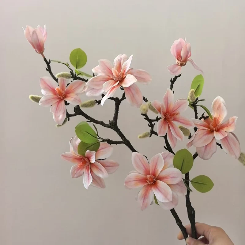 Elegante Magnolienstängel