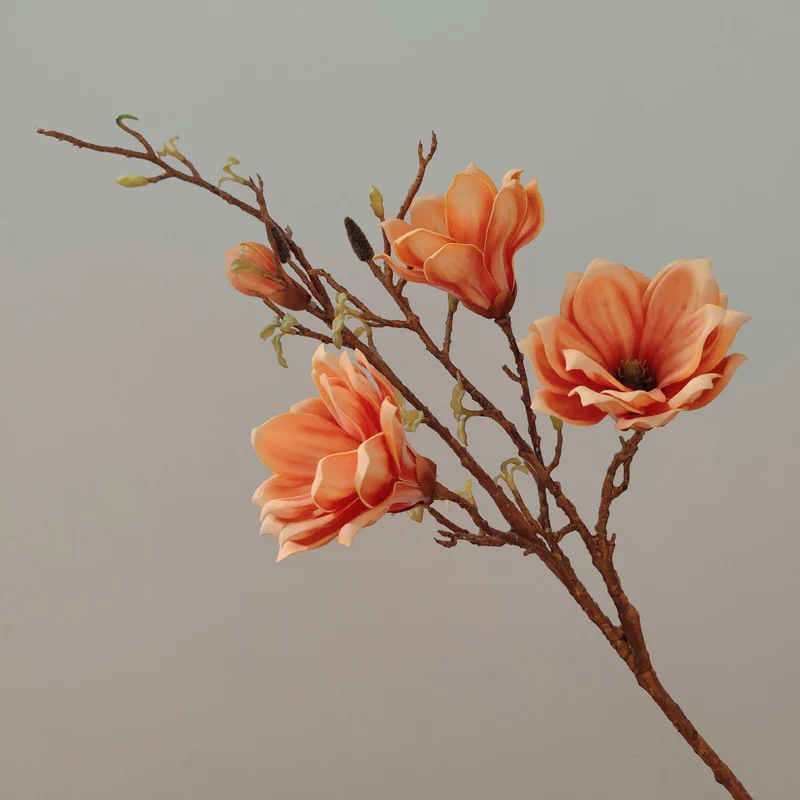 Elegante florale Stielanordnung