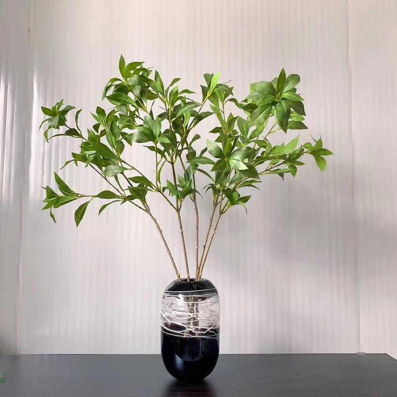 Elegante dekorative Blatta stem
