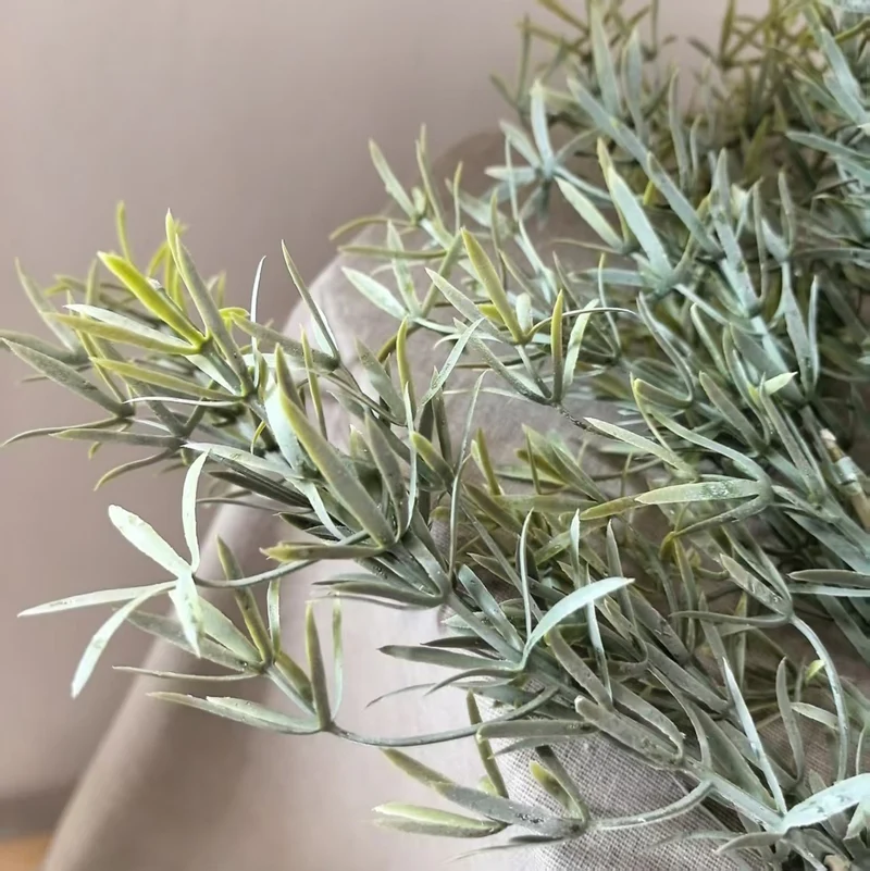 Dekorative Olivenzweig