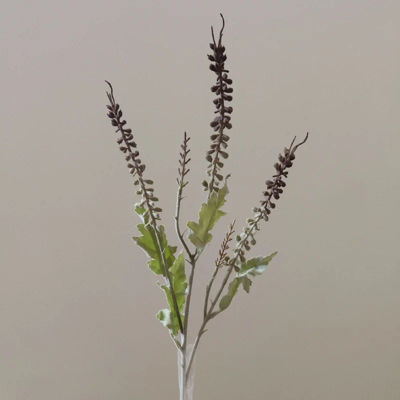Dekorative Grünpflanze Floralstamm