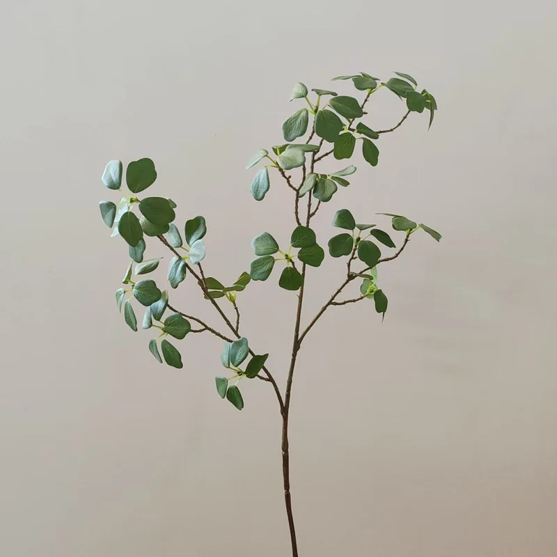 Dekorative Farnzweig