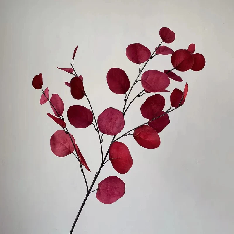 Dekorativer Eukalyptus-Stiel