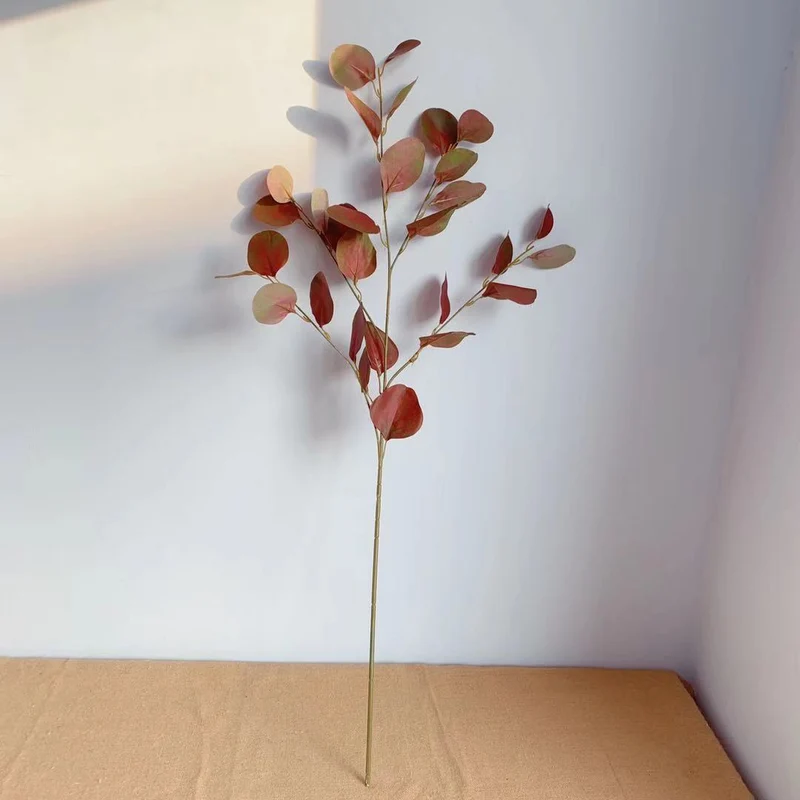 Dekorativer Eukalyptus-Stiel