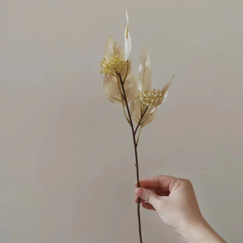 Dekorative Getrocknete Blumenstängel