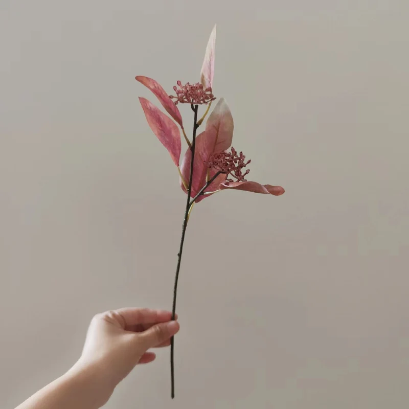 Dekorative Getrocknete Blumenstängel