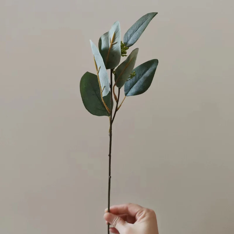 Dekorative Getrocknete Blumenstängel