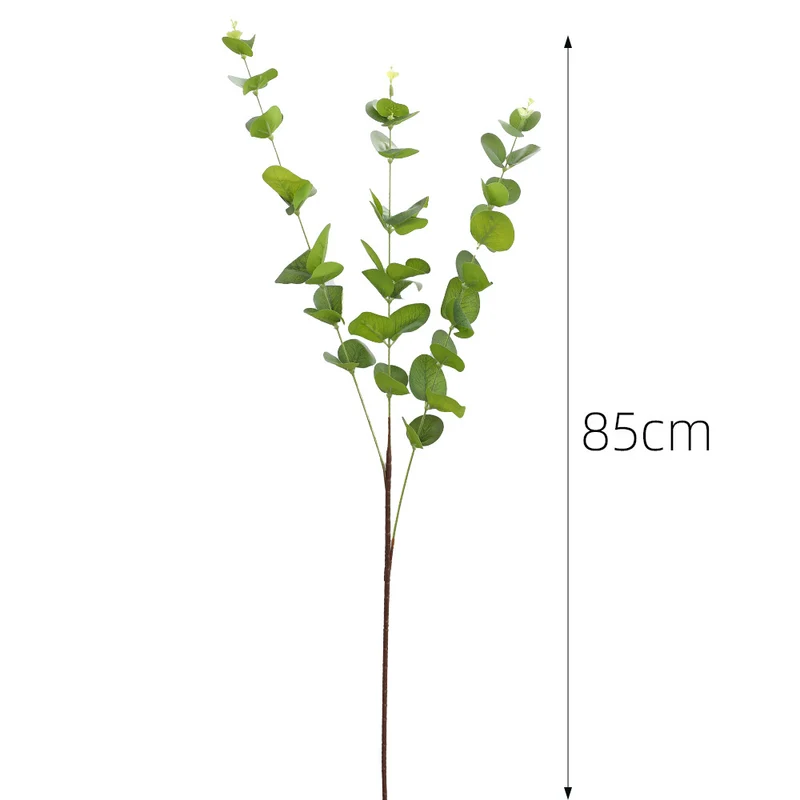 Dekorative Pflanzen Karnz