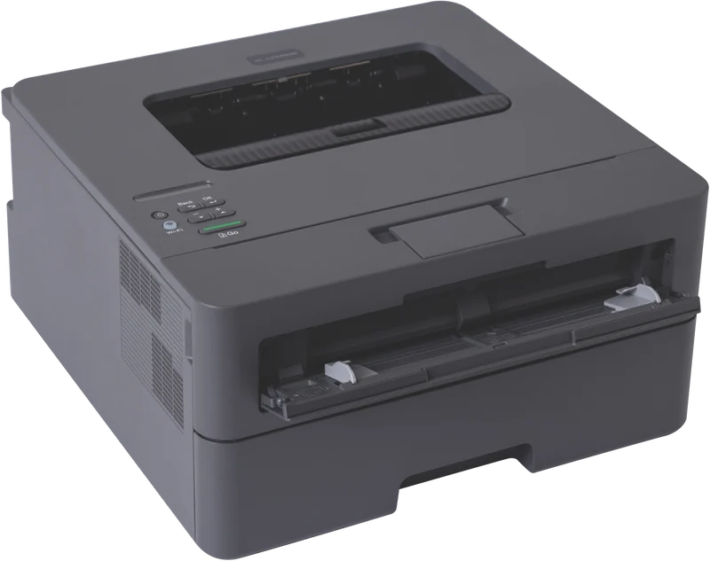 Brother Mono Laser Printer HL-L2445DW