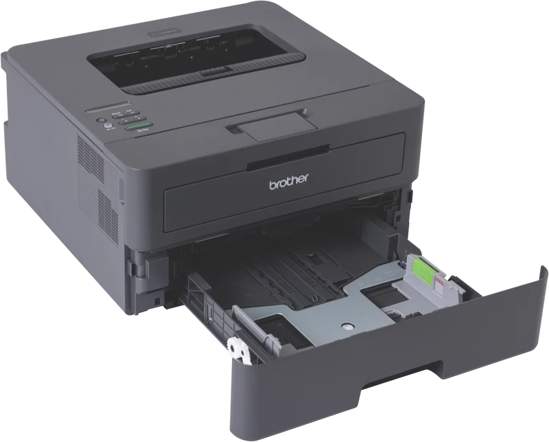 Brother Mono Laser Printer HL-L2445DW