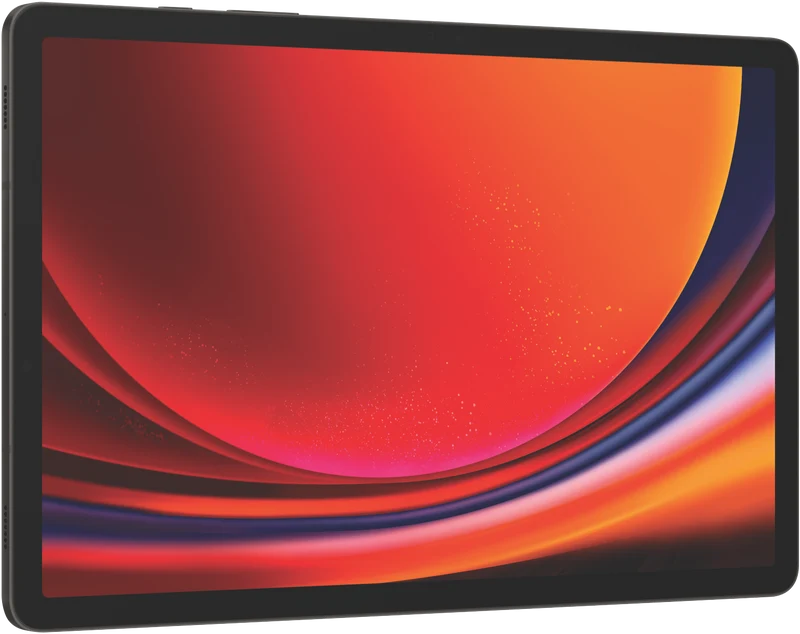 Samsung Galaxy Tab S9 5G 256GB - Graphite