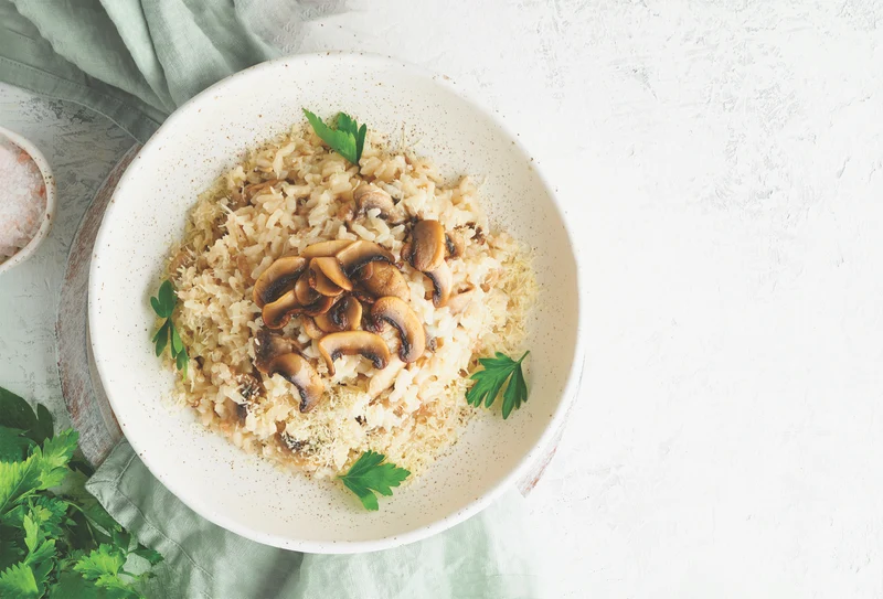 Breville The Rice Box Pro