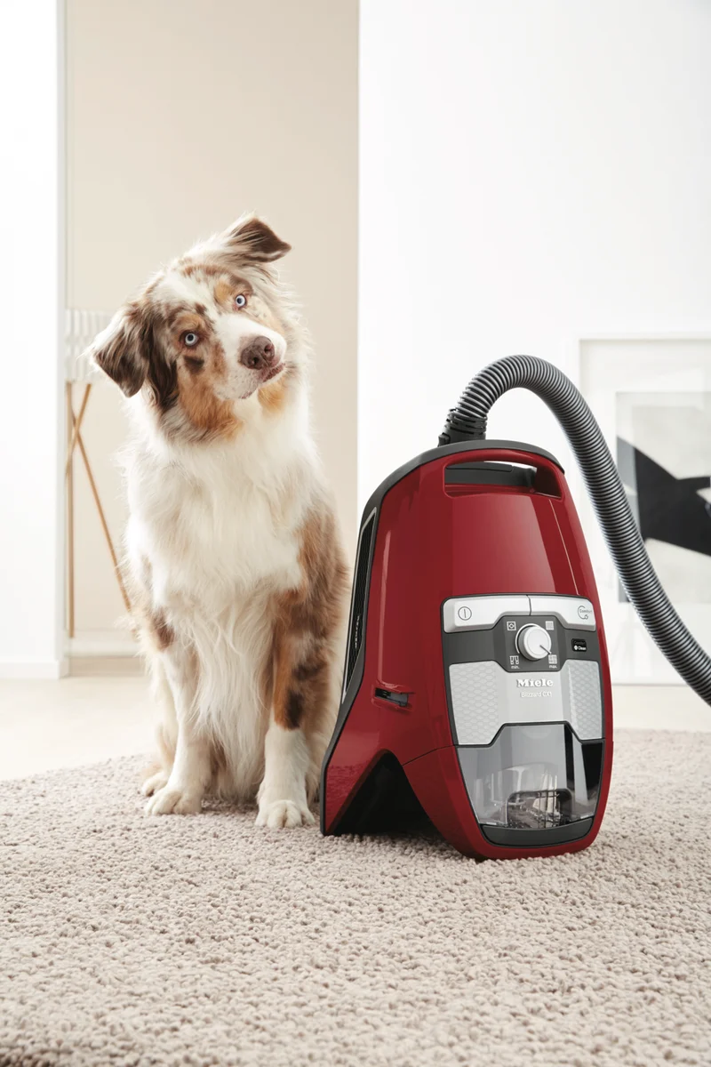 Miele Blizzard CX1 Cat & Dog Bagless Vacuum