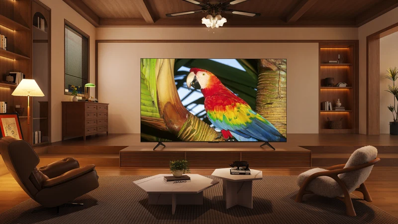 TCL 43" C655 QLED Google TV 24